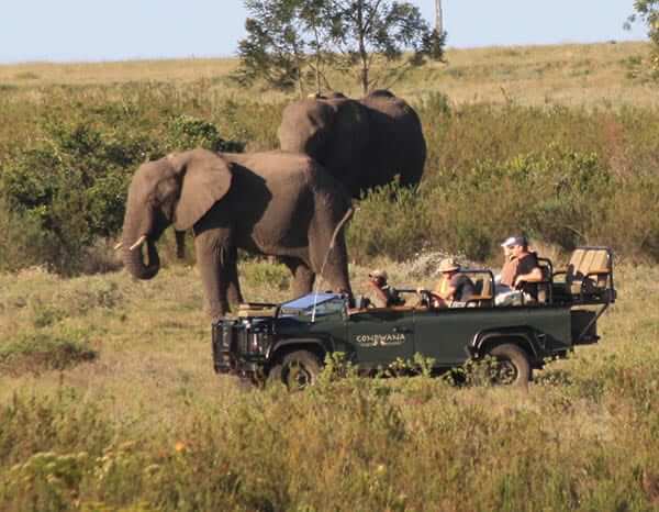 inspiresport-south-africa-sportstour