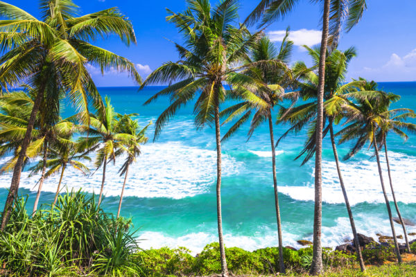 sri lanka inspiresport sports tour sri lanka inspiresport sports tour